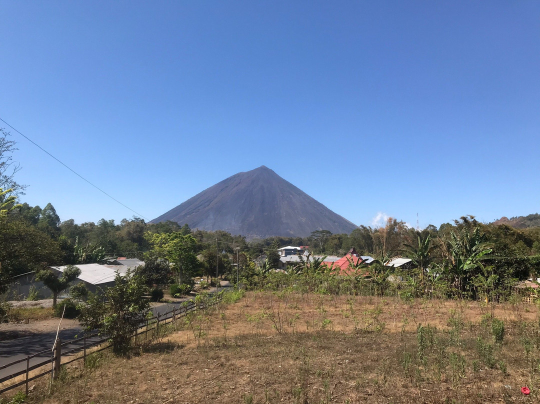 (Madja) Edelweis Homestay主图