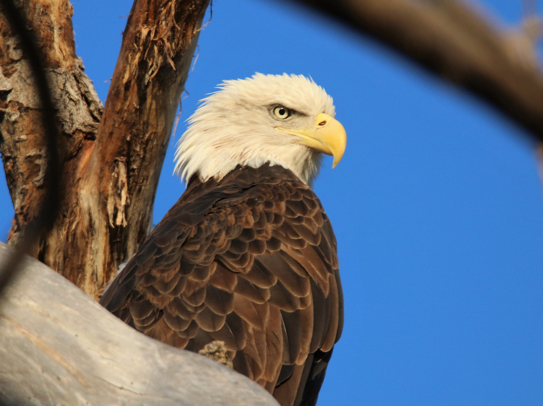 Dead Horse Ranch State Park-Cottonwood必去景点