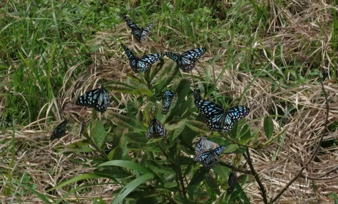 Silent Valley National Park-卡拉拉必去景点