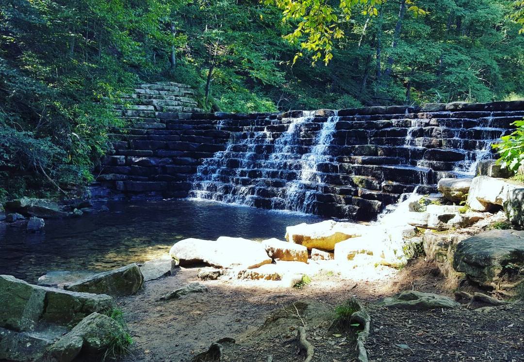 Laurel Hill State Park景点图片