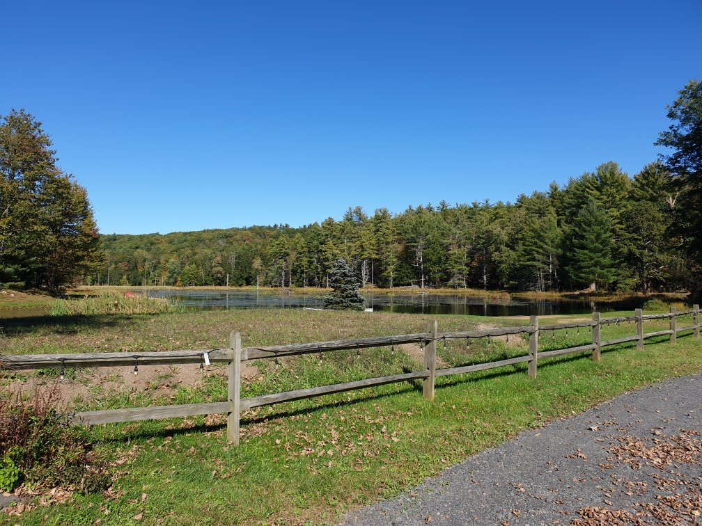 The Country Inn主图