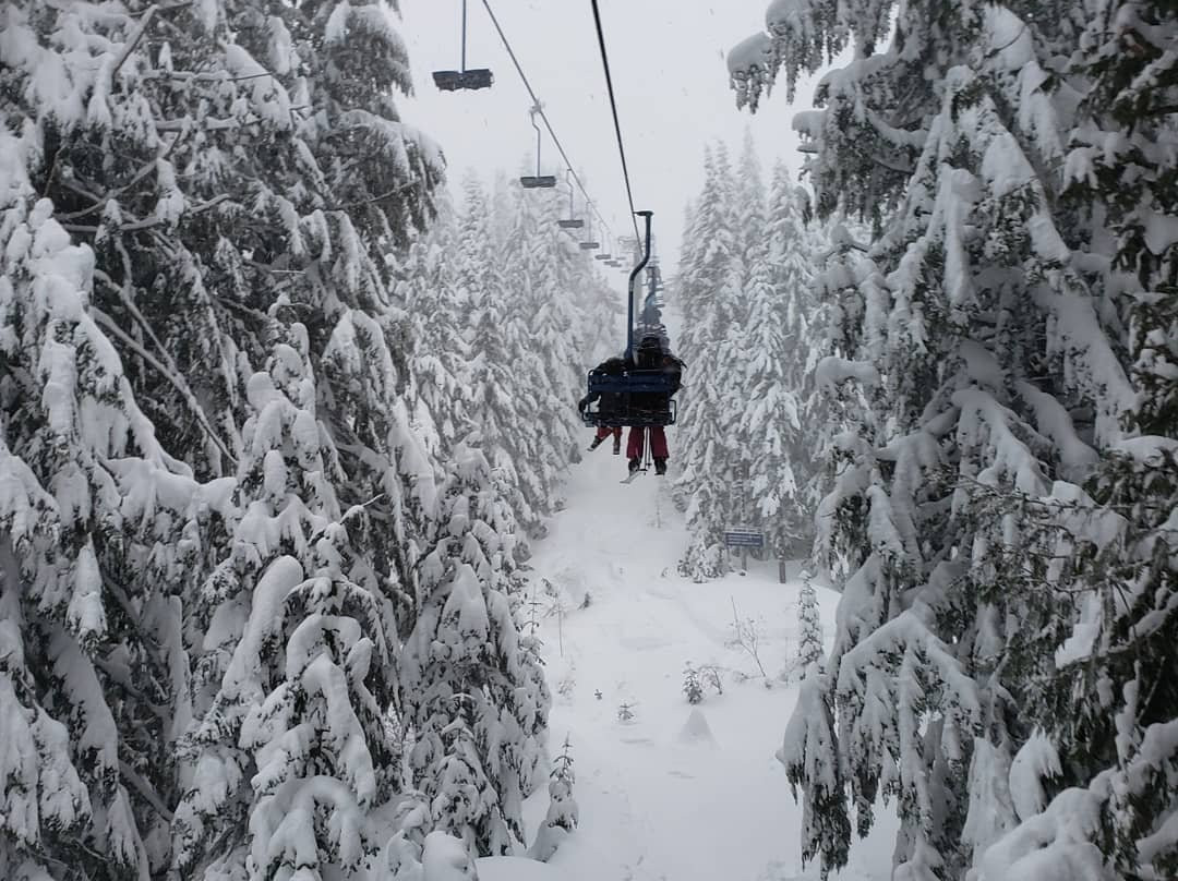 Mt. Hood Adventure Park at Skibowl-Government Camp必去景点