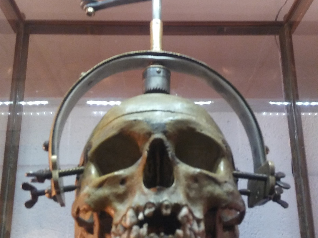 Anatomy Of Death Museum景点图片