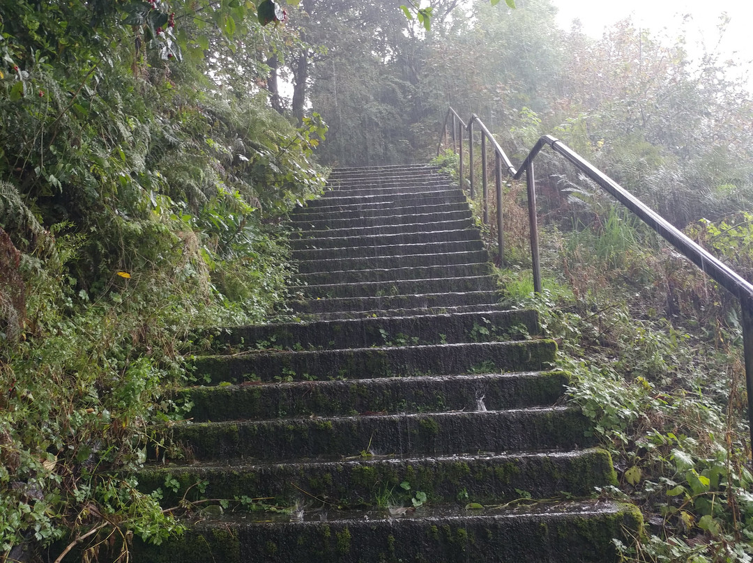 The Tower Hill-Gourock必去景点