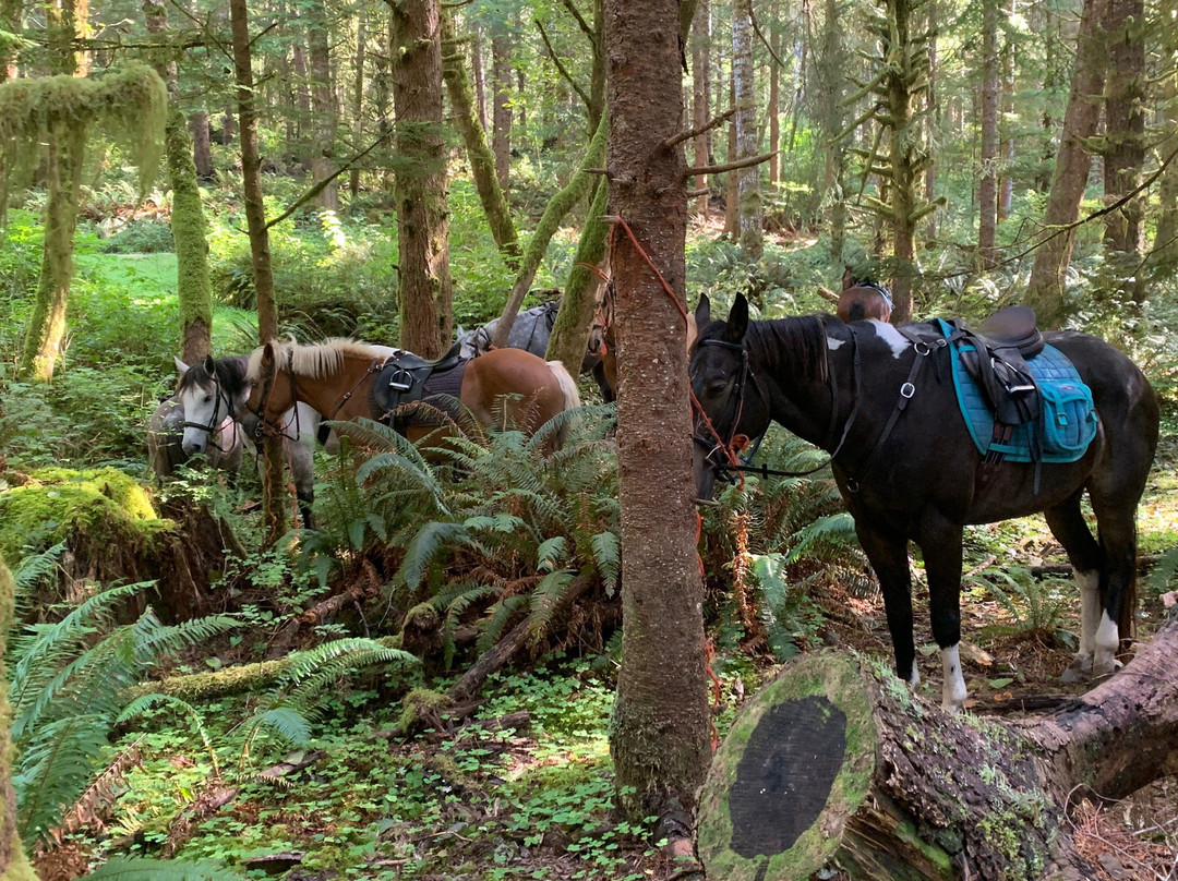 Willamette Coast Ride-Carlton必去景点