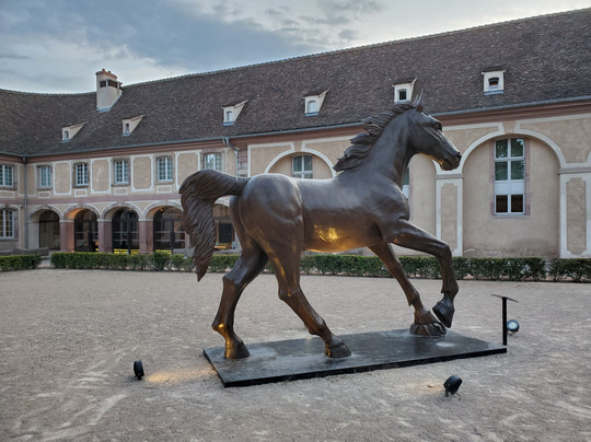 勒斯哈里斯酒店主图