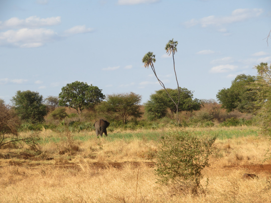 Meru National Park KENYA-Meru National Park必去景点