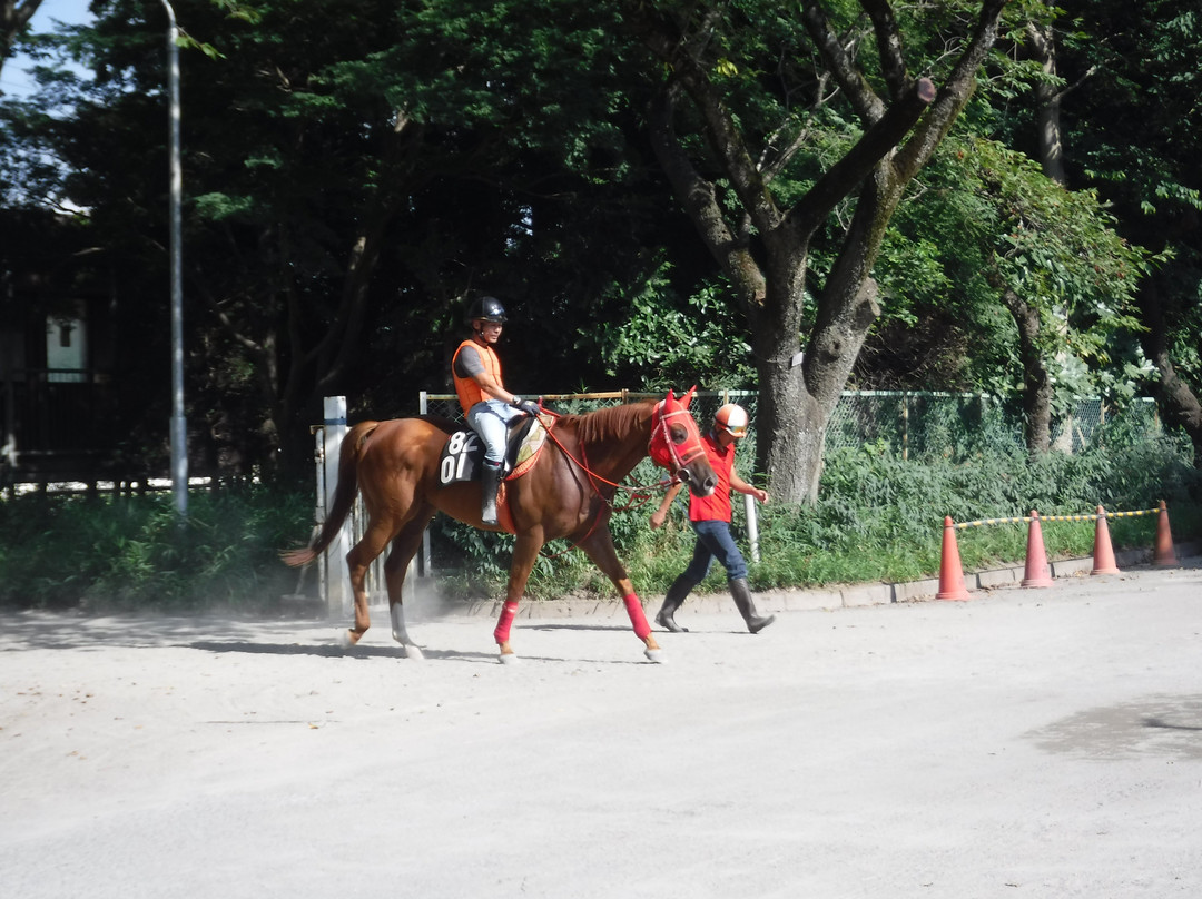 Kobayashi Farm-印西市必去景点