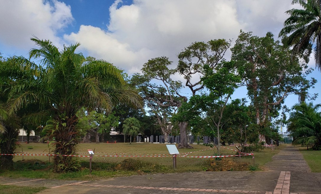 Jardin Botanique-卡宴必去景点