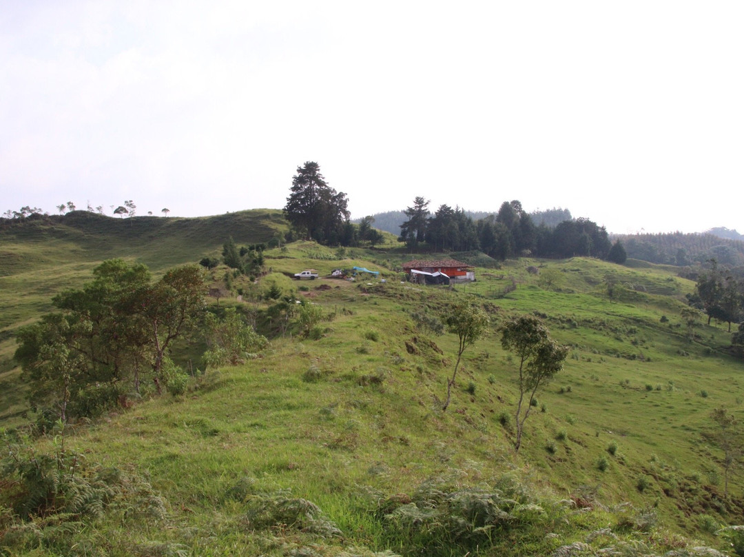 Reserva La Rivera-萨伦托必去景点