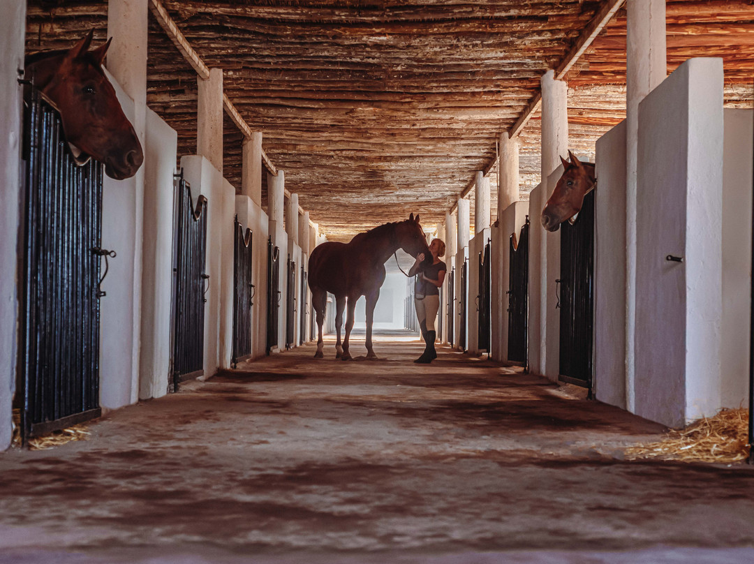 Ecurie Charly Jumper-马拉喀什必去景点