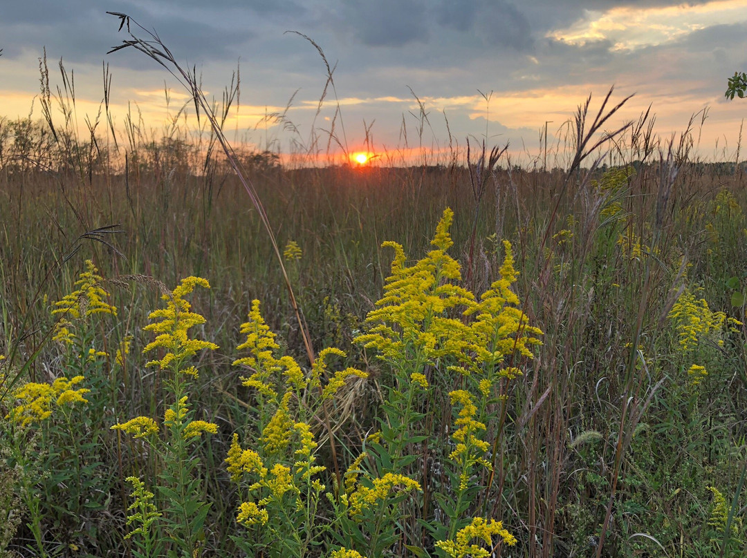 Scioto Grove Metro Park-格罗夫城必去景点