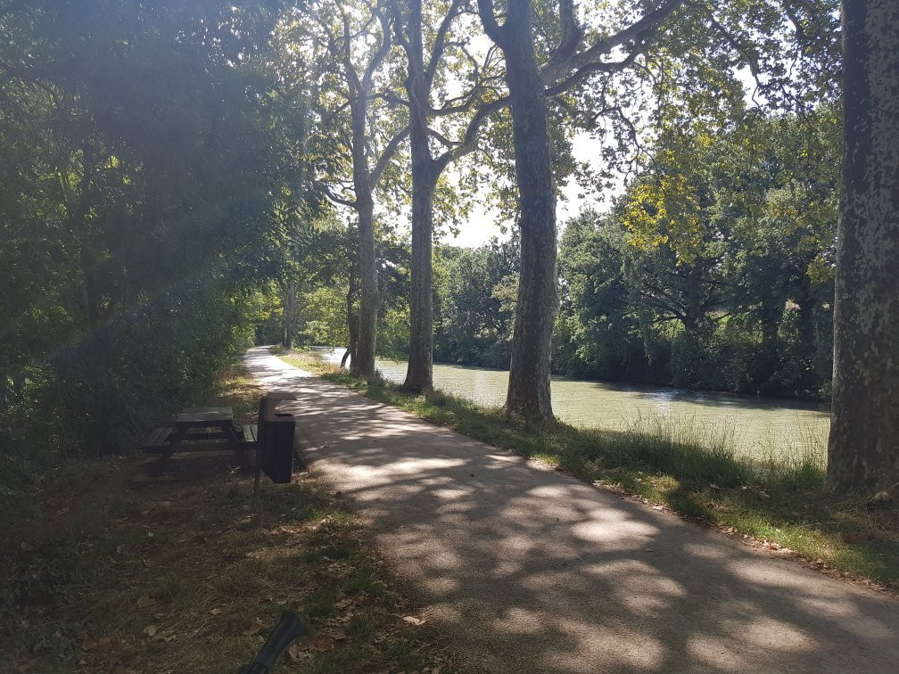 Paulette - Location de vélo-图卢兹必去景点