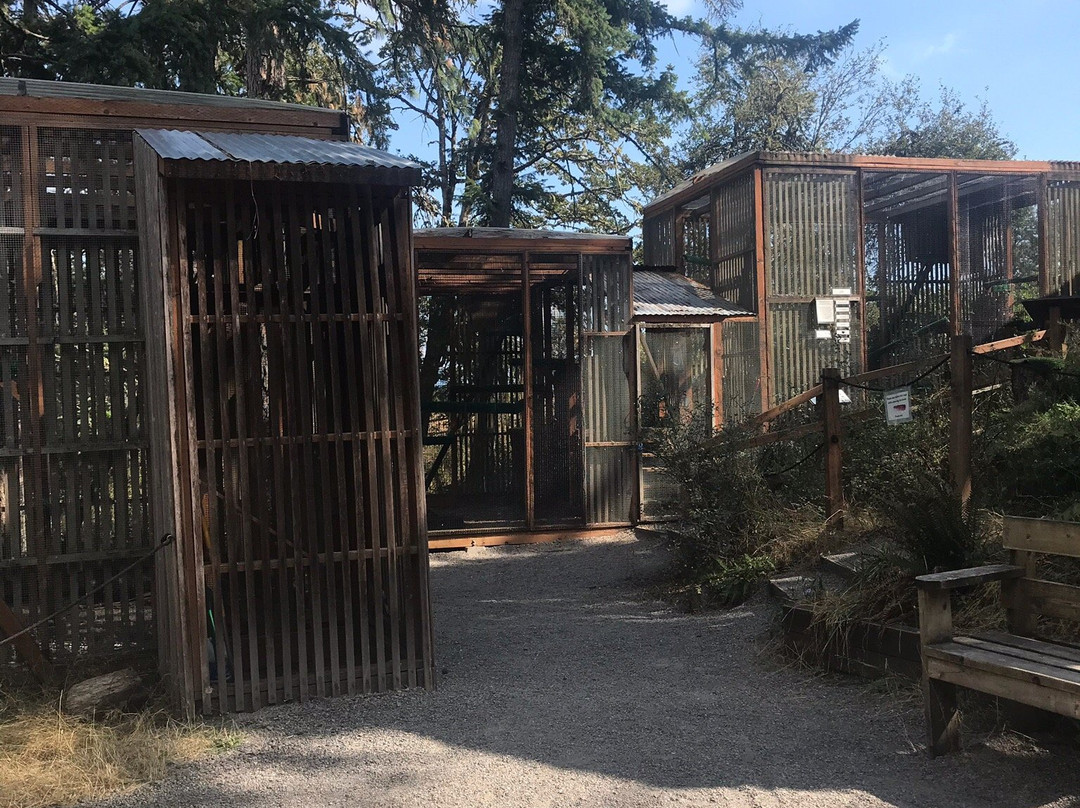 卡斯卡底猛禽中心-尤金必去景点