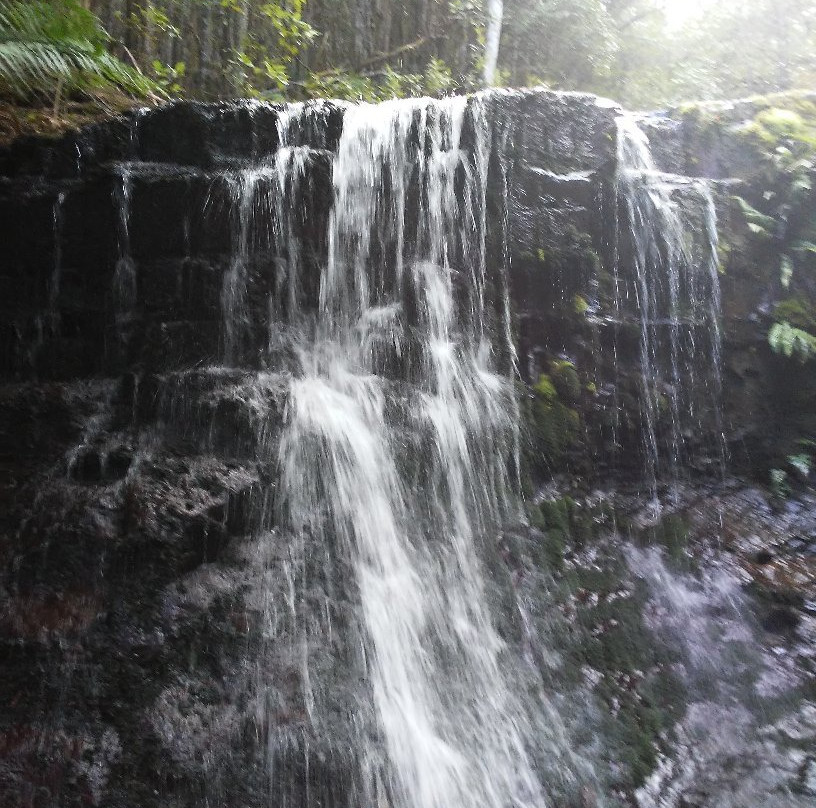 Fern Tree to Silver Falls Loop景点图片