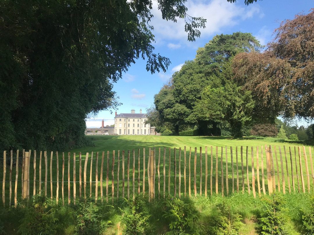 Doneraile Wildlife Park景点图片