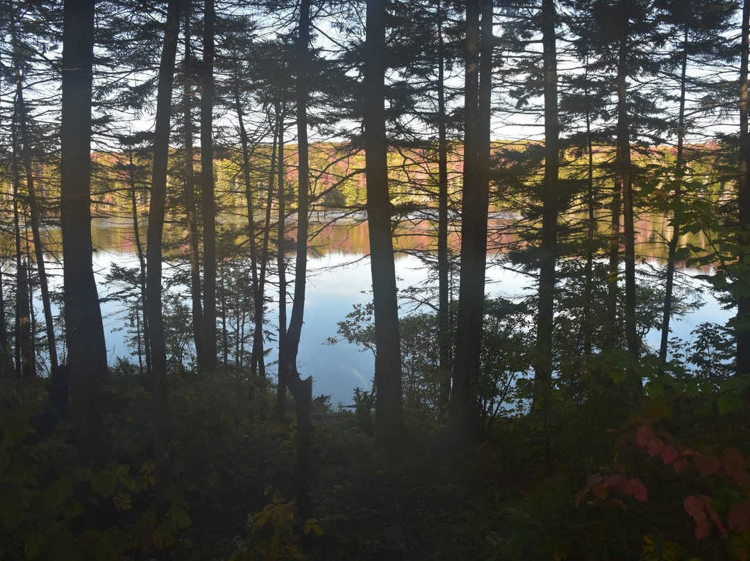 Woodford State Park-Woodford必去景点