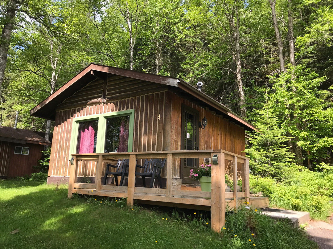 High Falls Motel and Cabins主图