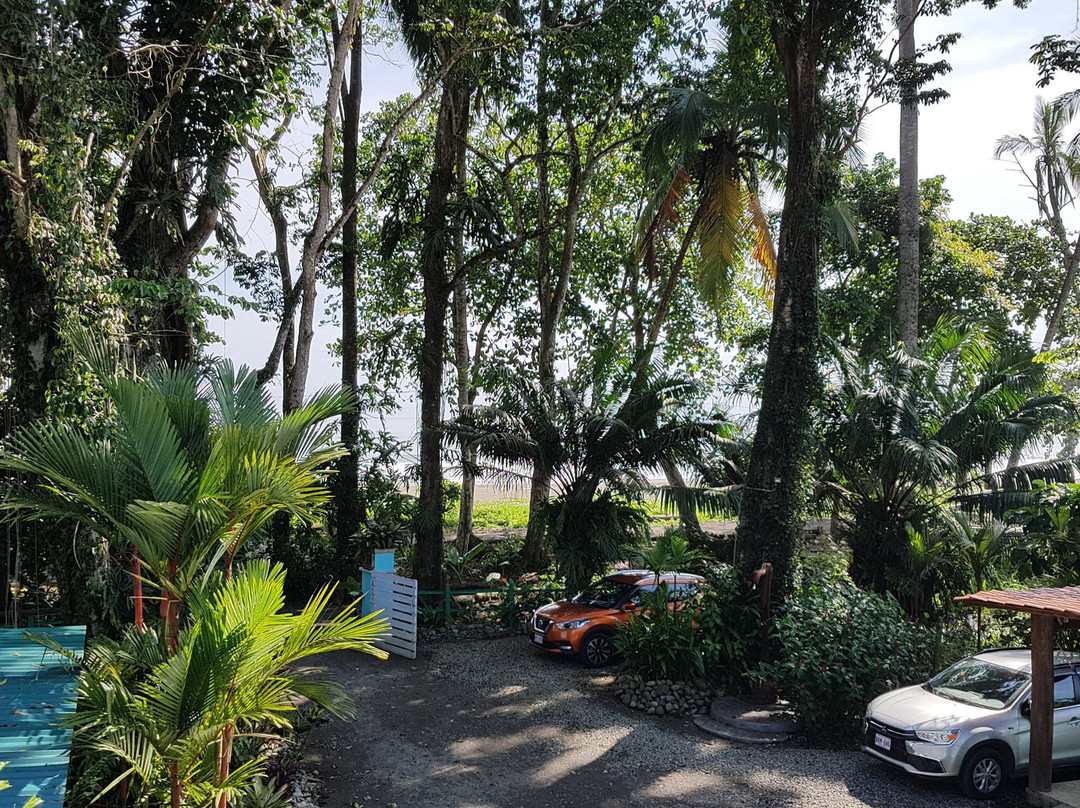 Hotel Banana Azul主图