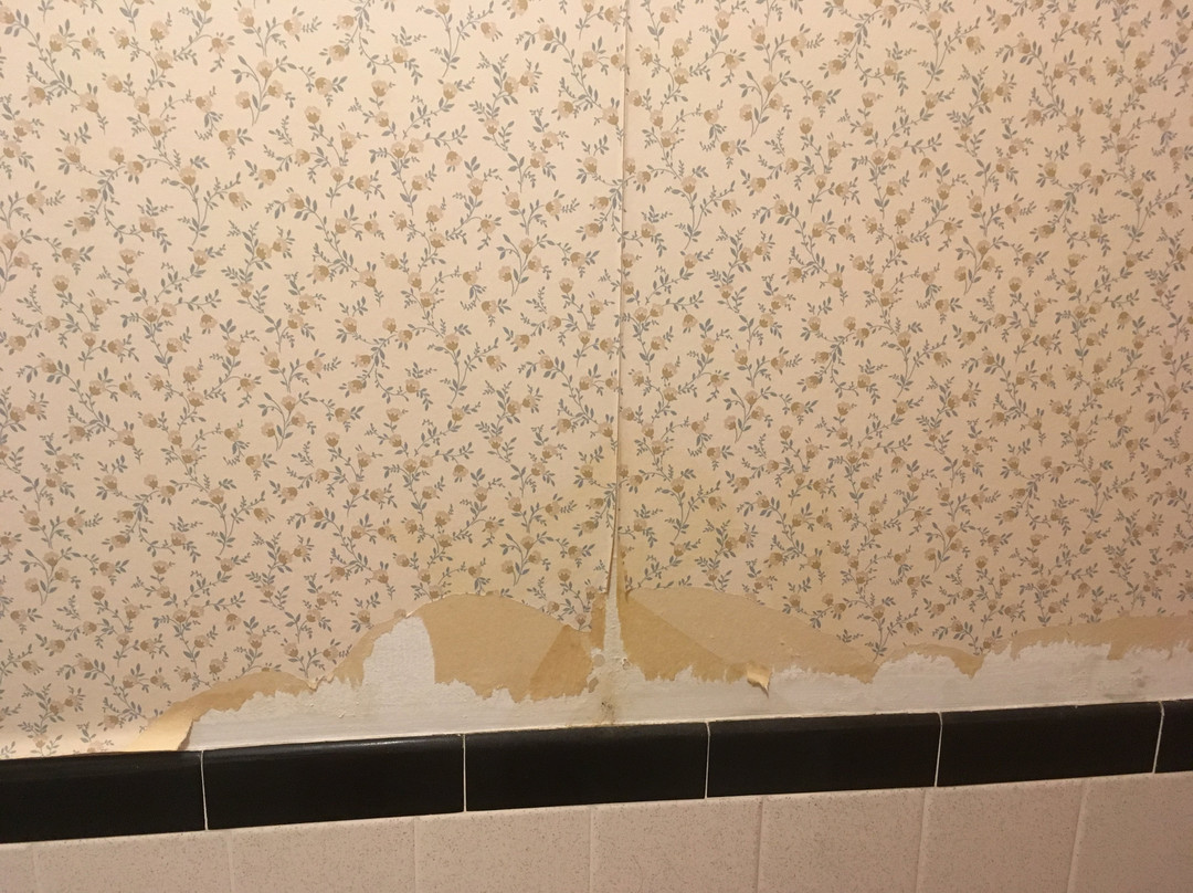 Ocean Park Inn主图