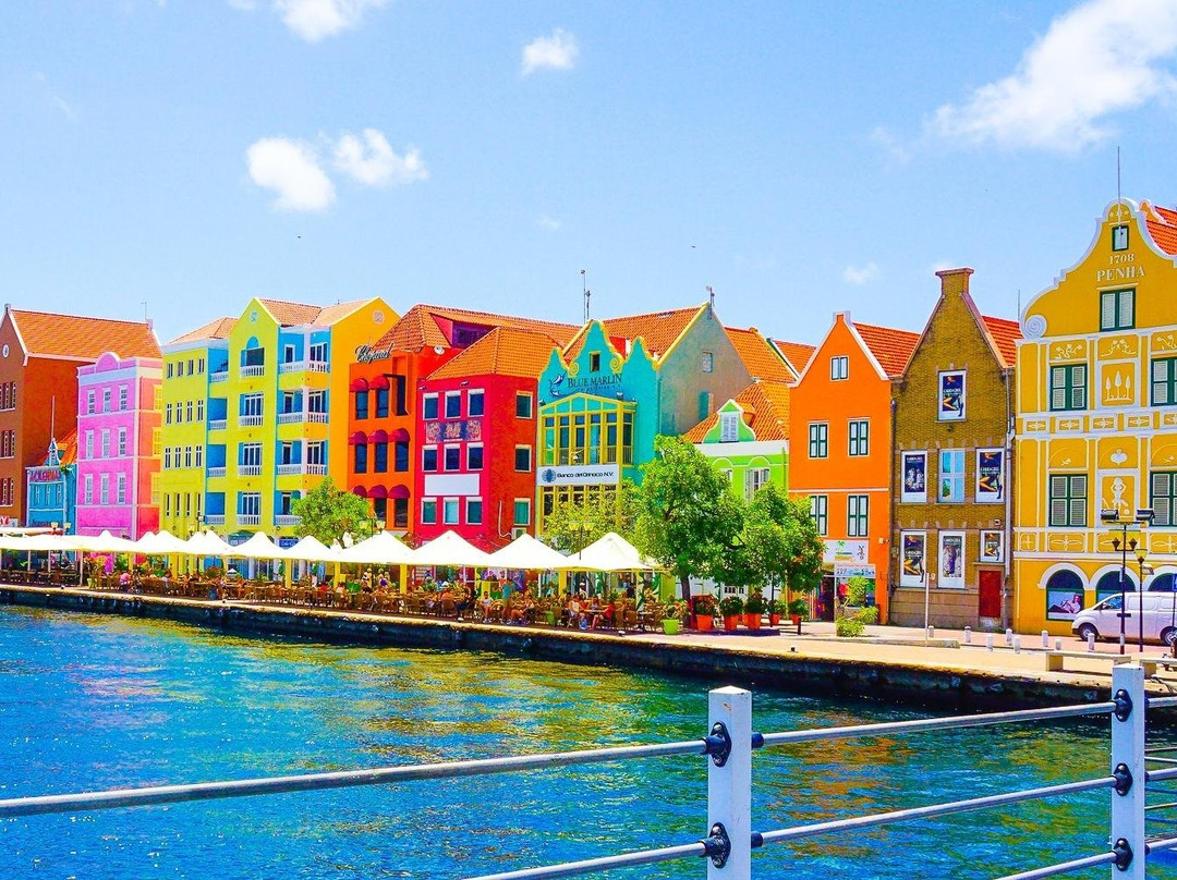 curacaoTortastic-威廉斯塔德必去景点