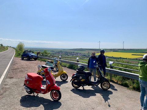 Pfalzvespen-弗兰肯塔尔必去景点