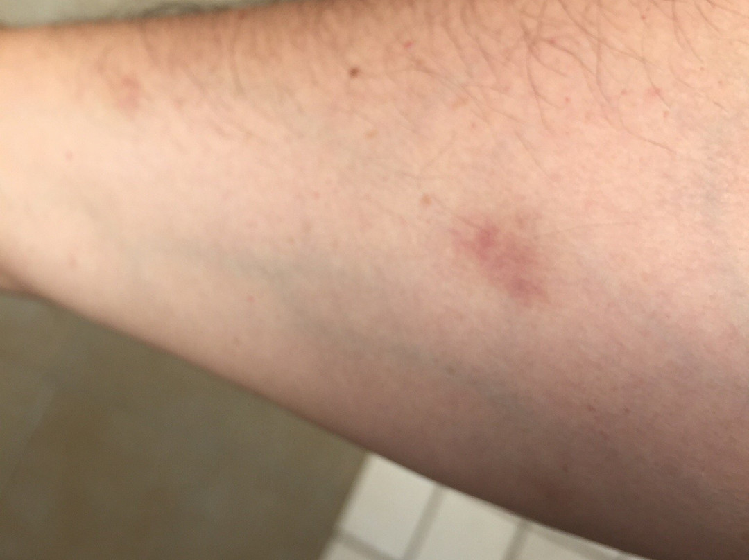 Holiday Inn & Suites Monterrey Apodaca Zona Airport By IHG主图