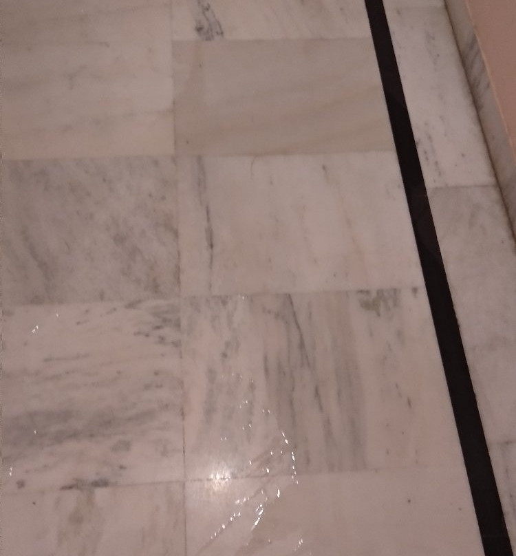 Treebo Trend Jhalamaan主图