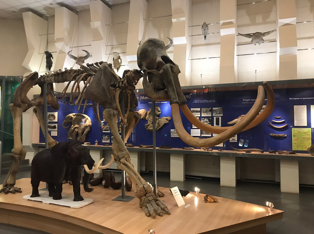 Mammoth Museum-雅库茨克必去景点