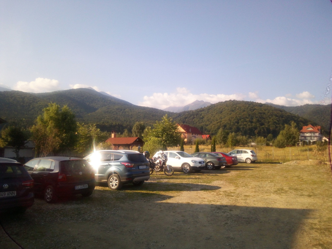 Pensiunea Mountain King主图