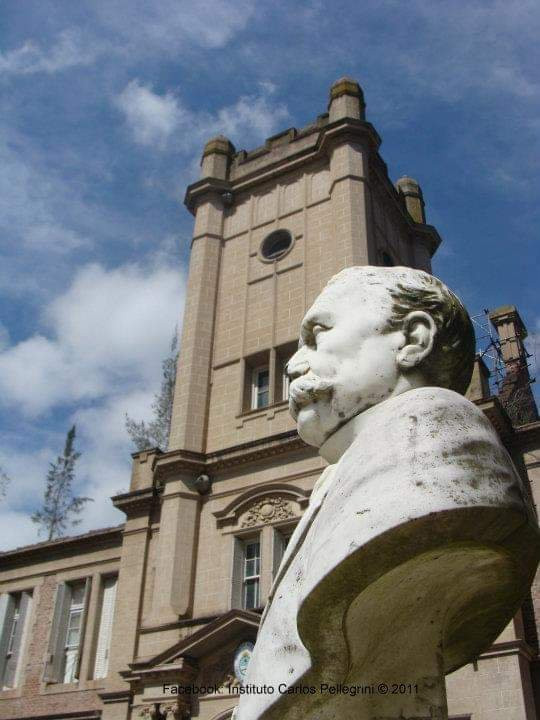 Instituto Carlos Pellegrini景点图片