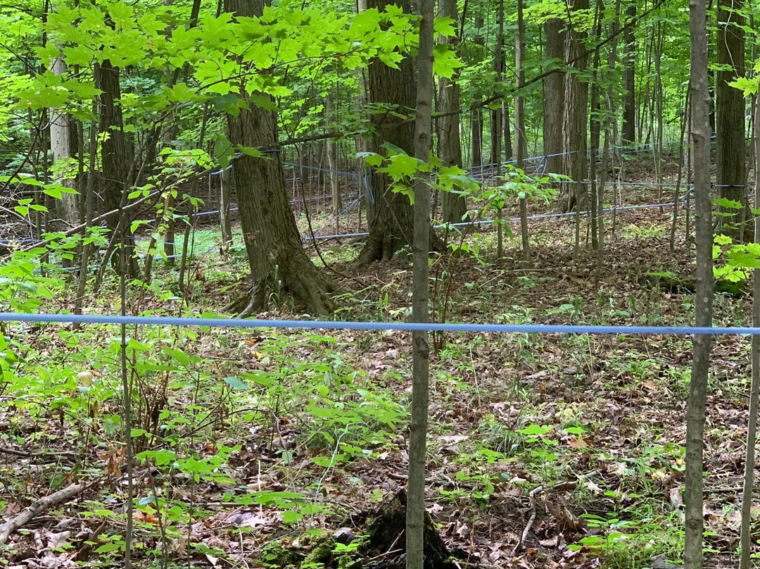 White Meadows Farms-Pelham必去景点