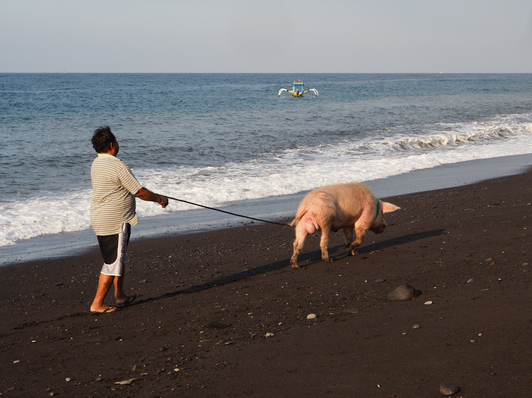 Two Fish Divers Amed景点图片