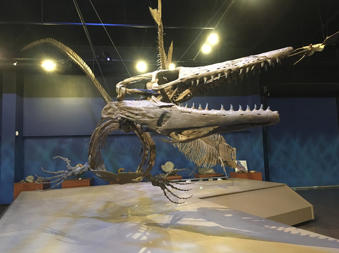 Royal Gorge Dinosaur Experience-卡农城必去景点