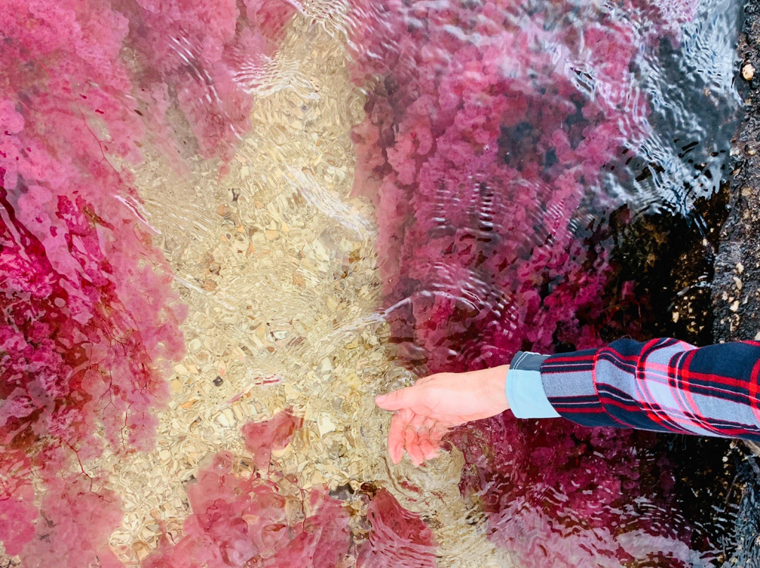 Jardin Botanico de la Macarena-La Macarena必去景点