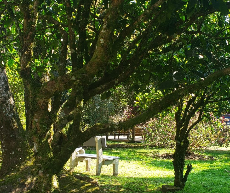 Hotel Fioreze Quero Quero主图