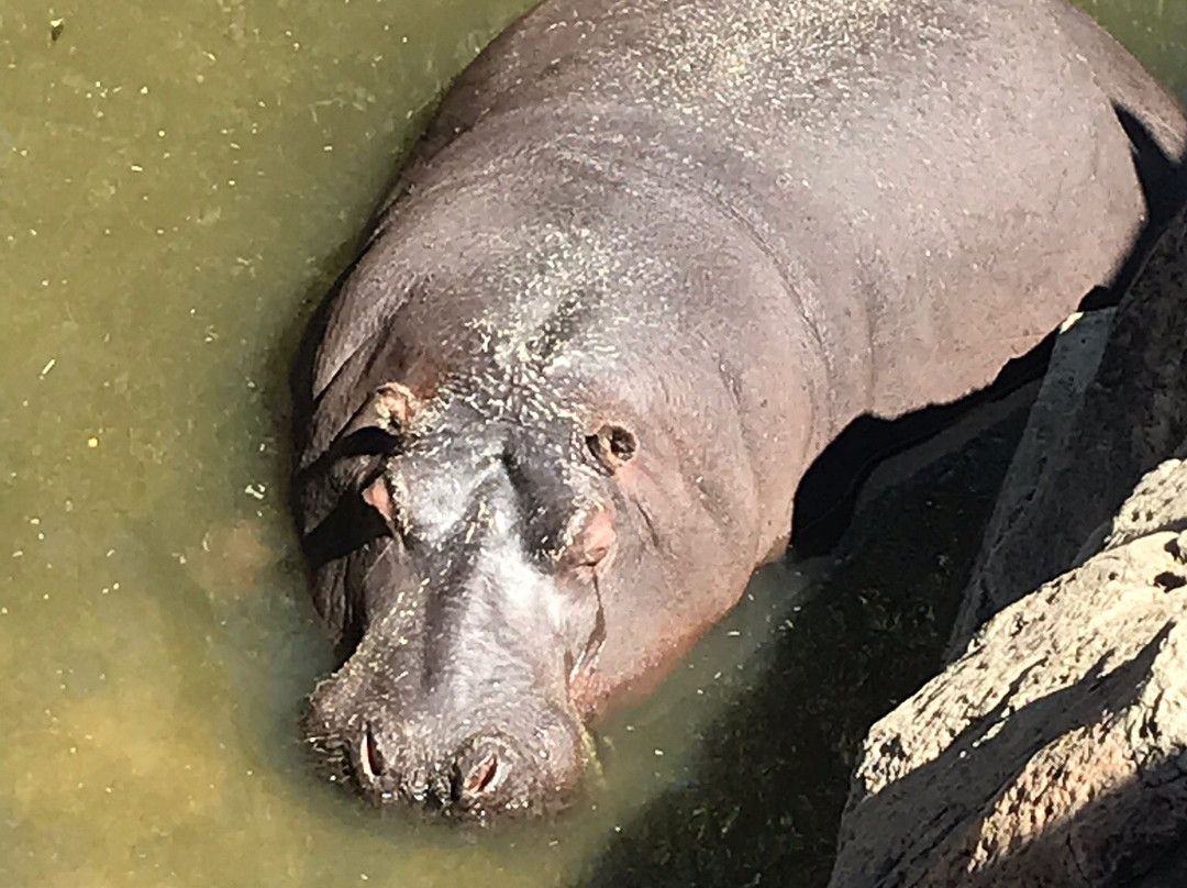 Emerald Animal World-范德毕玖帕克必去景点