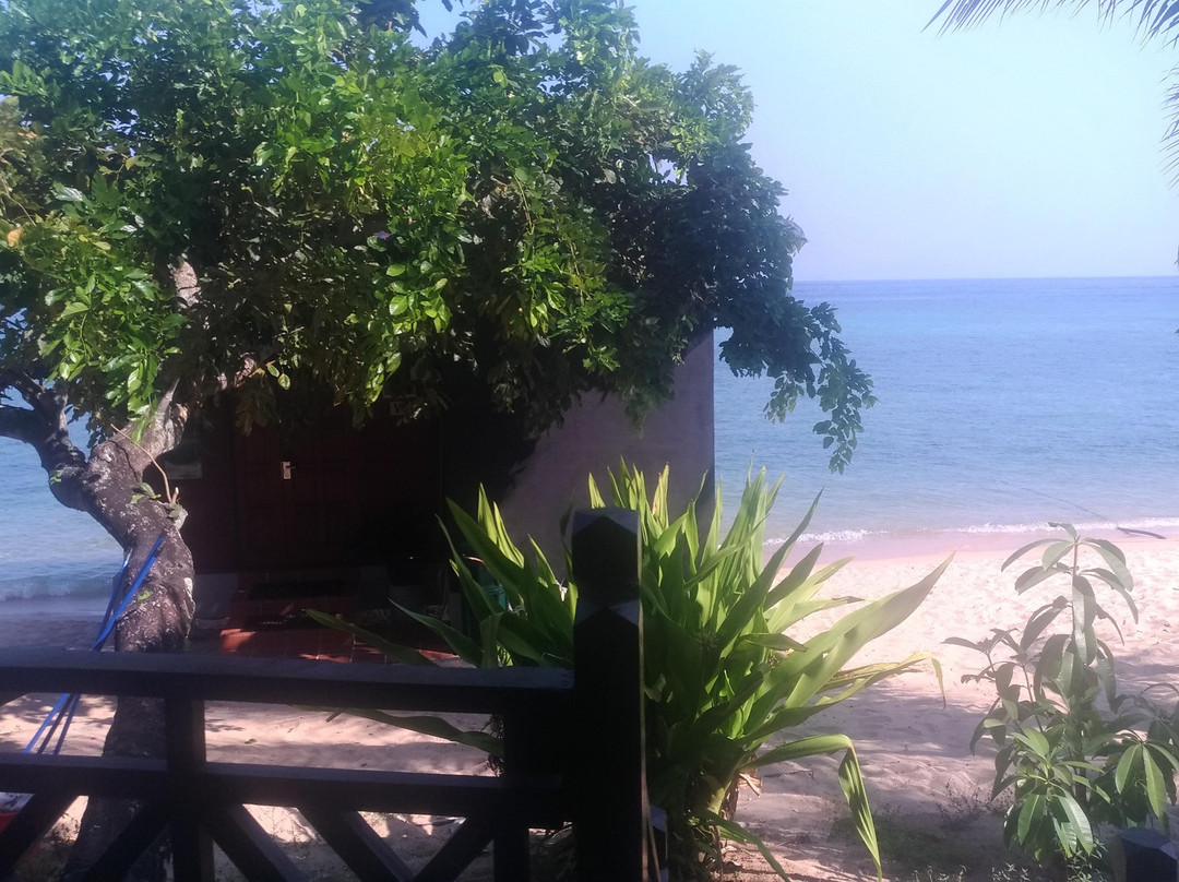 刁曼岛帕雅沙滩潜水Spa度假酒店主图