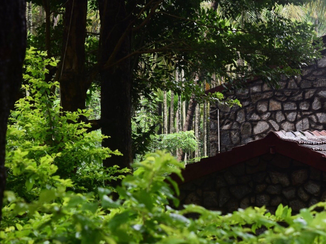 Dandeli Wildlife Sanctuary景点图片