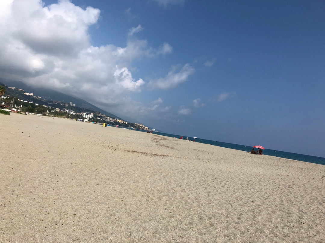 Plage de l'Arinella景点图片