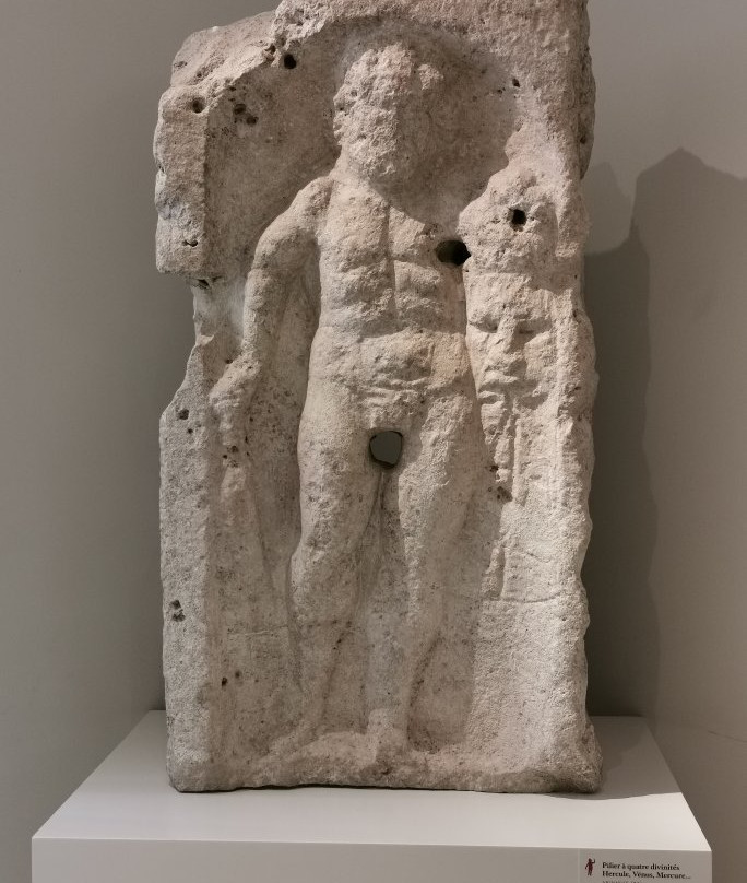 Musee du Pays Chatillonnais景点图片