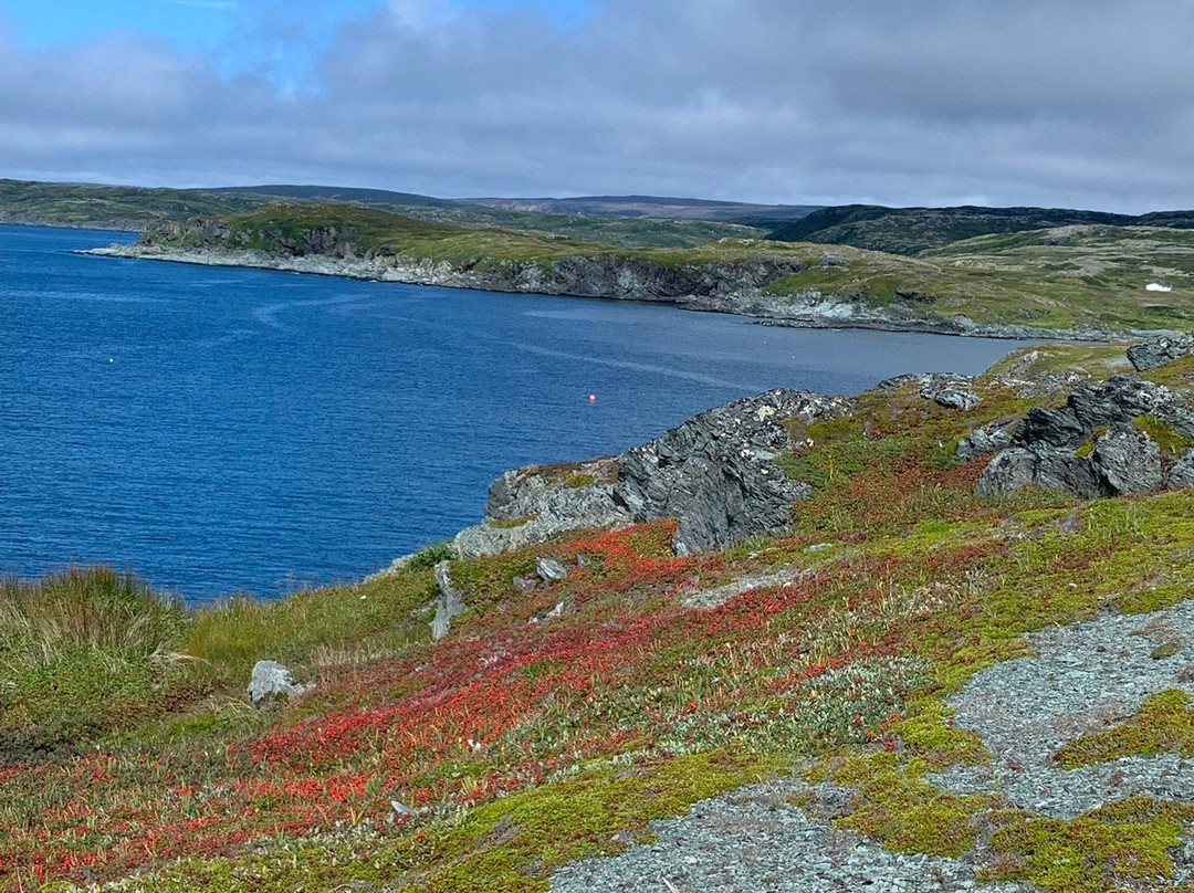 Pumley Cove Trail景点图片