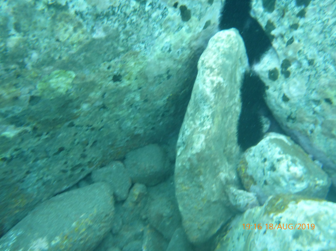 Calheta Diving Center-卡列塔必去景点