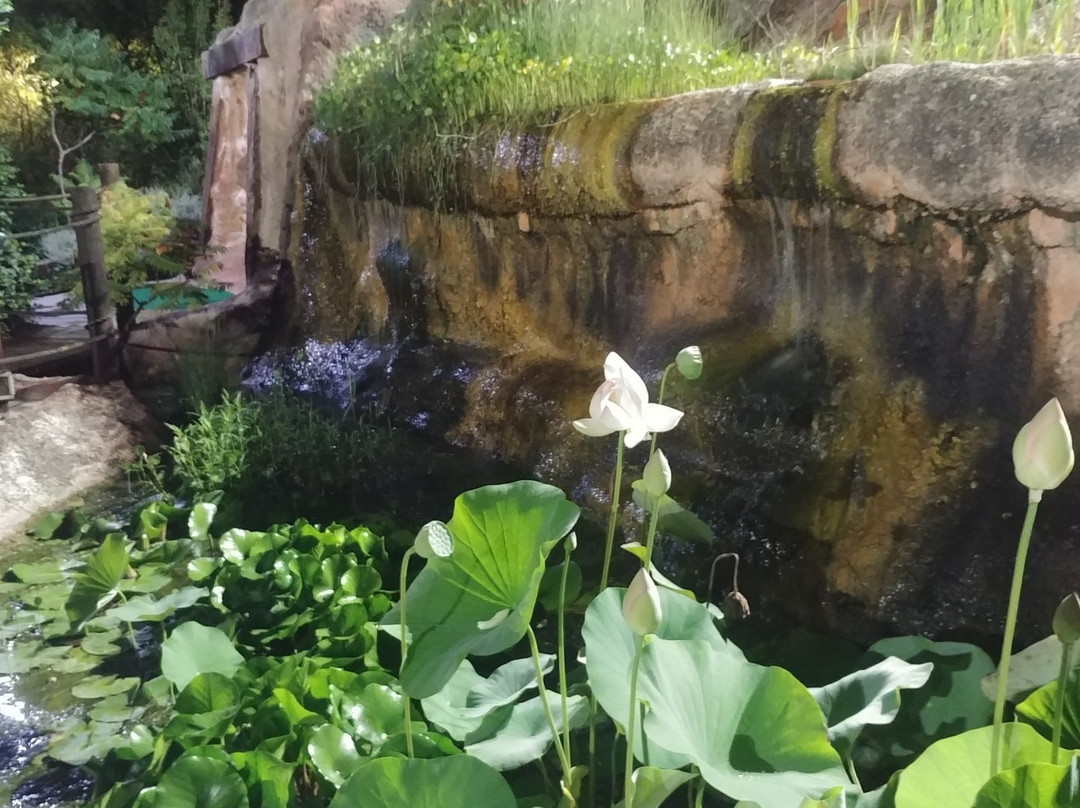 Belafonte Minigolf景点图片