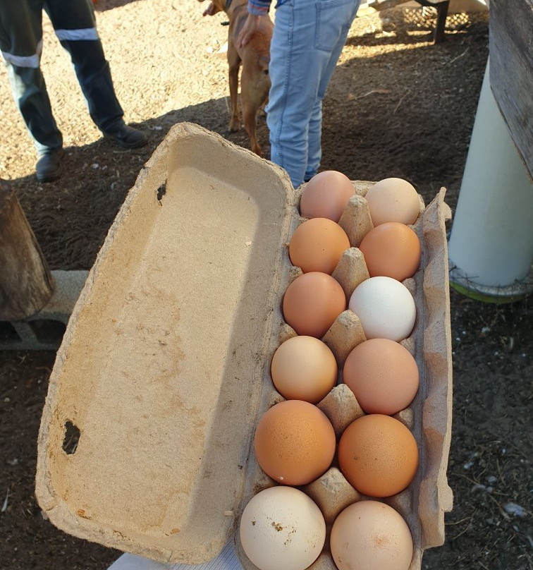 Kellers Bed & Breakfast主图