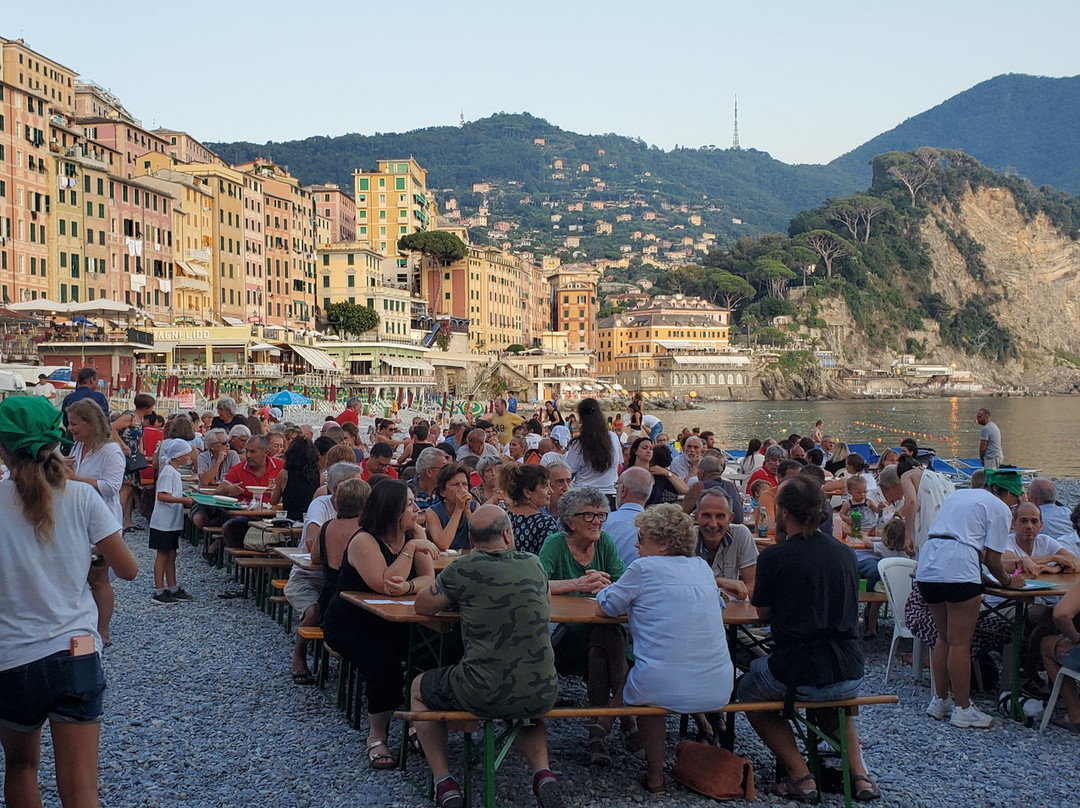 Festa della Croce Verde a Camogli-卡莫利必去景点