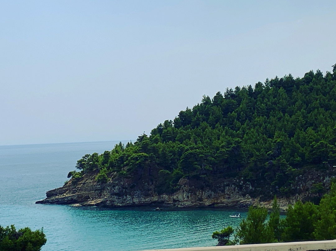 Alonissos Beach Bungalows & Suites Hotel主图