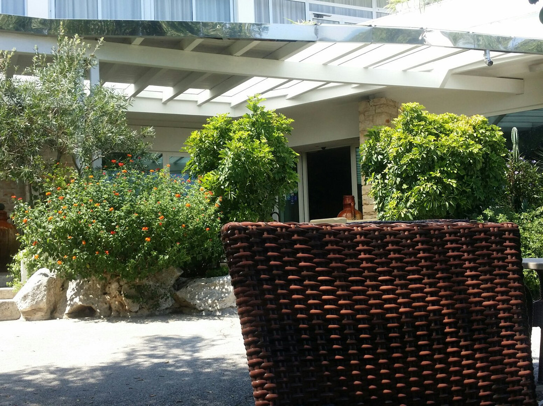 欧萨玛吉欧雷酒店主图