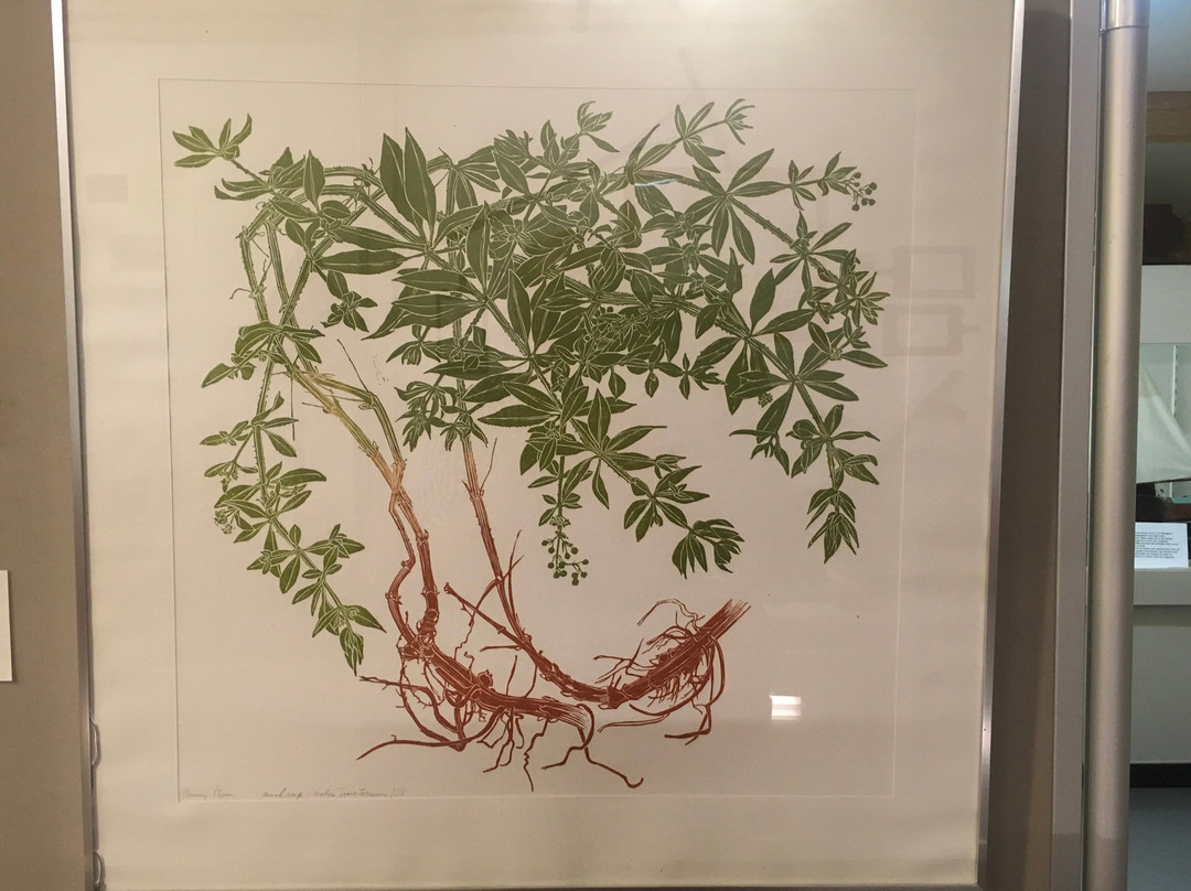 Streekmuseum De Meestoof, Sint- Annaland-Sint Annaland必去景点