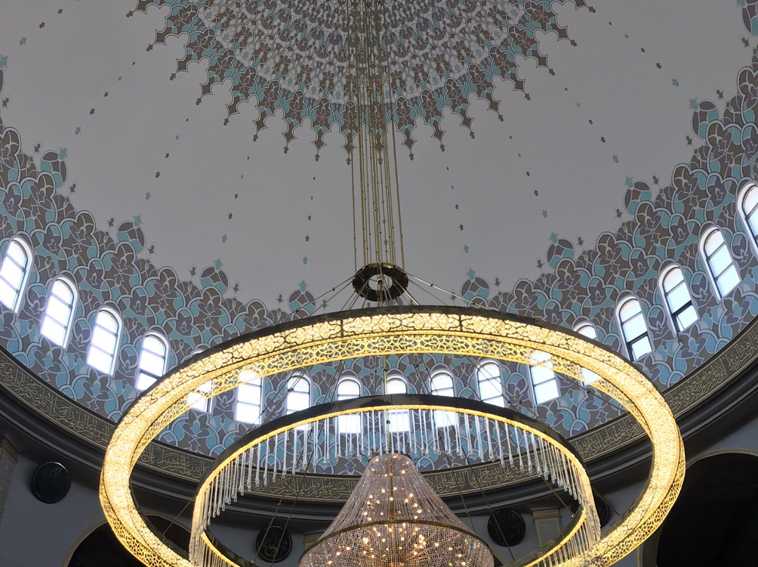 Mosque Ibn Badis景点图片